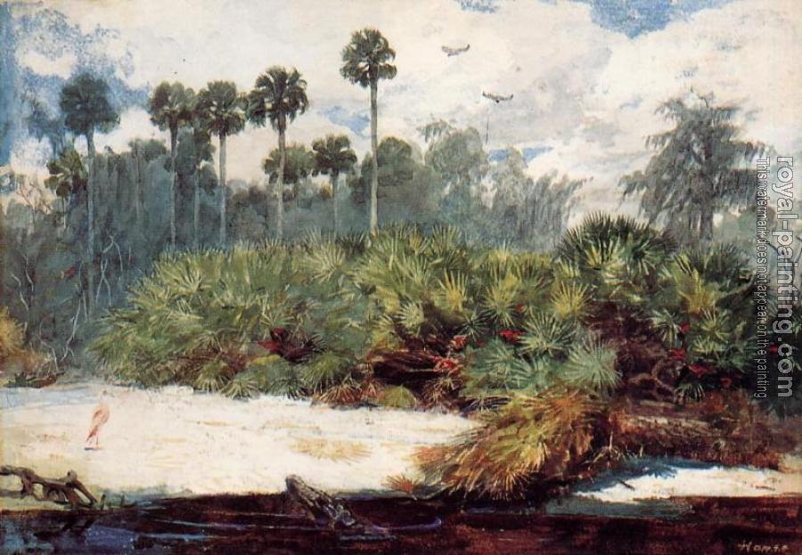Winslow Homer : In a Florida Jungle